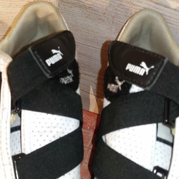 Puma - Picture 3 of 12